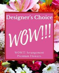 Designer's Choice - WOW!!
