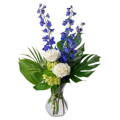 Speak to Me from Joseph Genuardi Florist in Norristown, PA